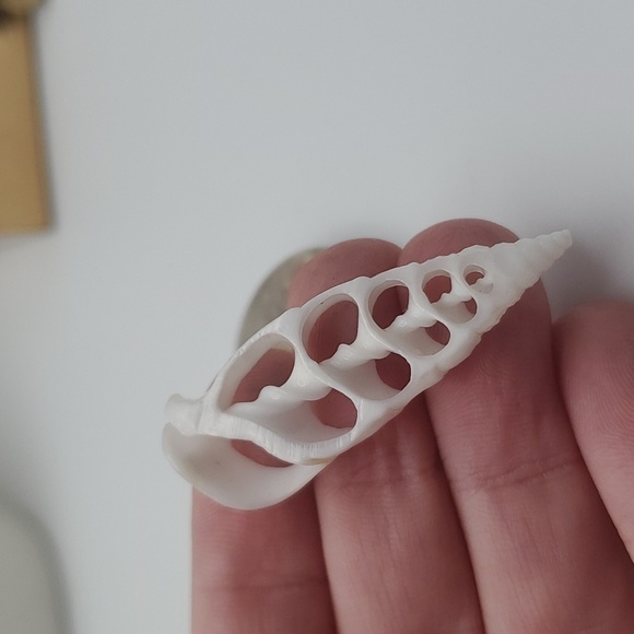 Simple shell open slice‎ beach conch skeleton pendant - Picture 1 of 2